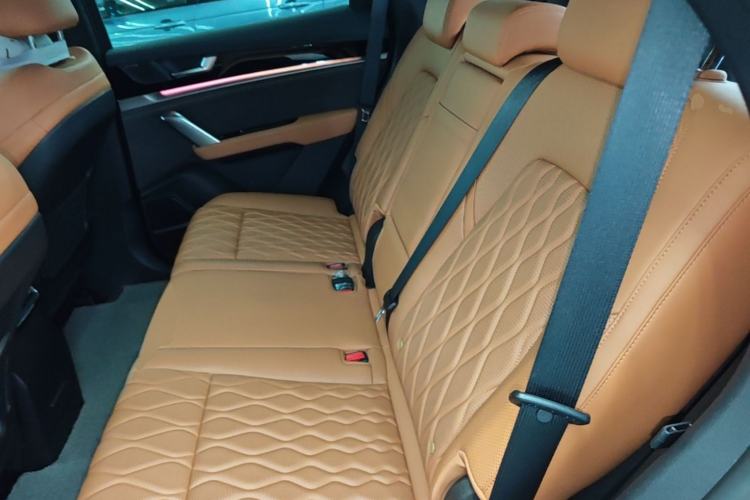 Used BYD Tang New Energy 2023 DM-i Champion Edition 112KM Prestige Model Left Rear Seat