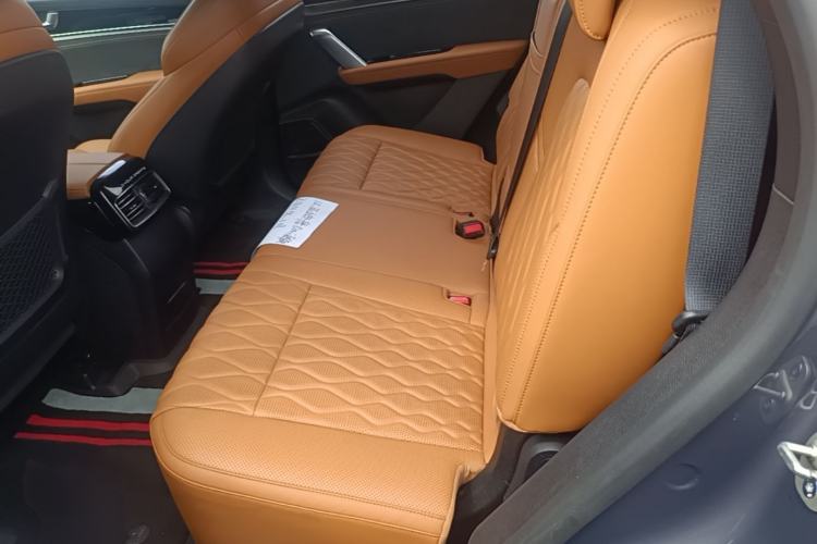 Used BYD Tang New Energy 2023 DM-i Champion Edition 112KM Prestige Model Left Rear Seat