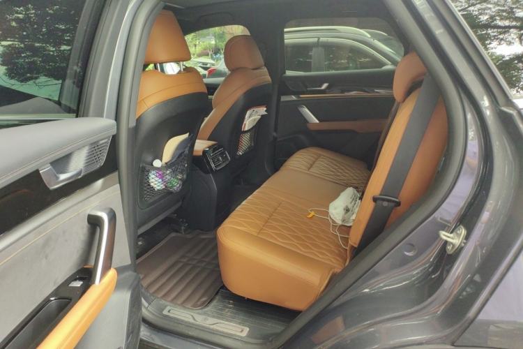 Used BYD Tang New Energy 2023 DM-i Champion Edition 112KM Prestige Model Left Rear Seat