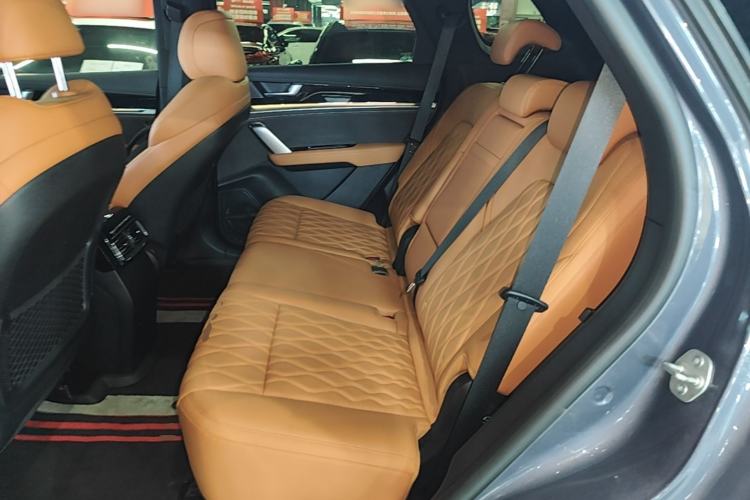 Used BYD Tang New Energy 2023 DM-i Champion Edition 112KM Prestige Model Left Rear Seat