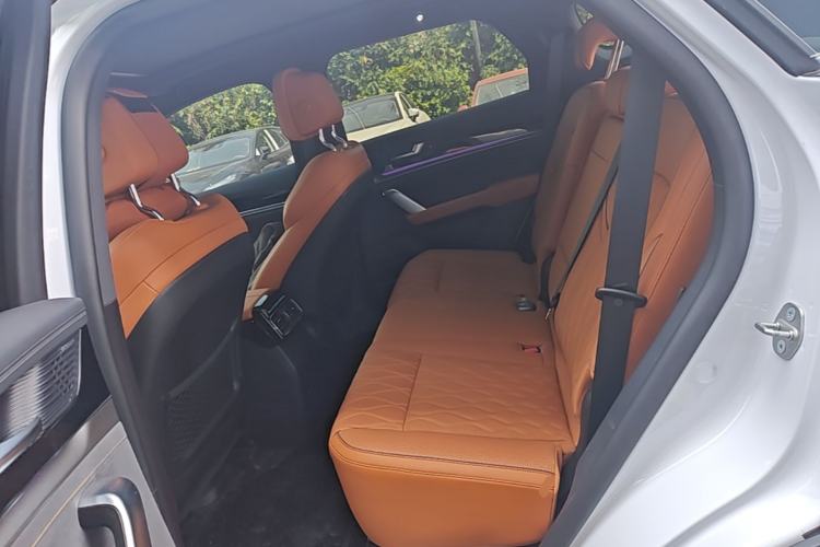 Used BYD Tang New Energy 2023 DM-i Champion Edition 112KM Prestige Model Left Rear Seat