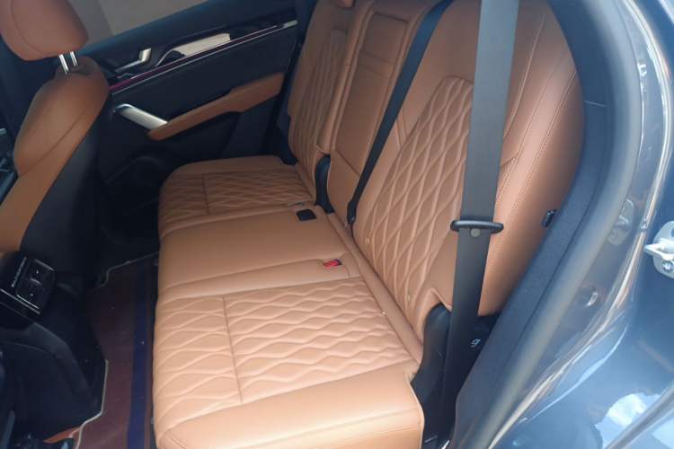Used BYD Tang New Energy 2023 DM-i Champion Edition 112KM Prestige Model Left Rear Seat