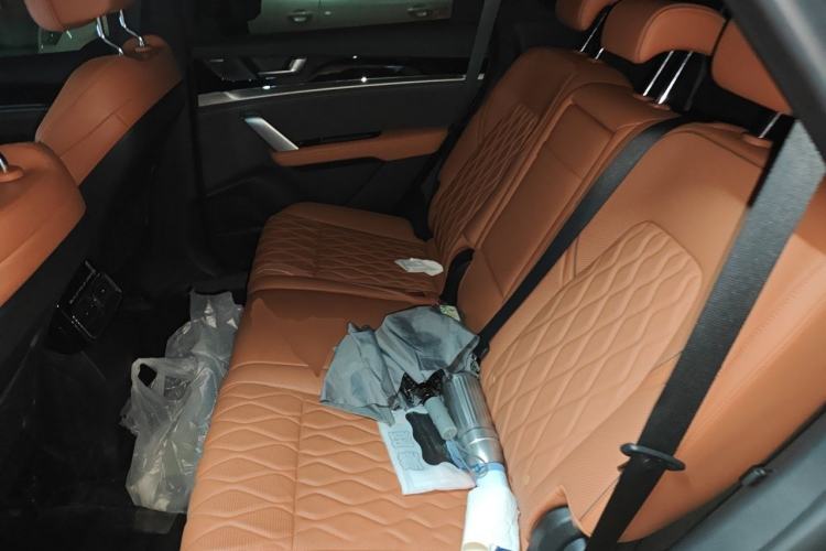 Used BYD Tang New Energy 2023 DM-i Champion Edition 112KM Prestige Model Left Rear Seat
