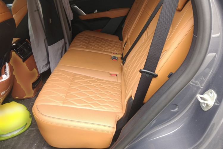 Used BYD Tang New Energy 2023 DM-i Champion Edition 112KM Prestige Model Left Rear Seat