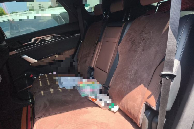 Used BYD Tang New Energy 2023 DM-i Champion Edition 112KM Prestige Model Left Rear Seat