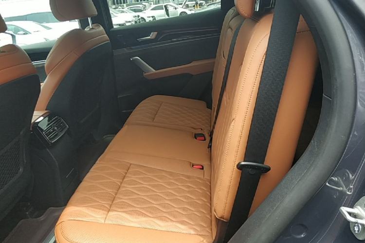 Used BYD Tang New Energy 2023 DM-i Champion Edition 112KM Prestige Model Left Rear Seat