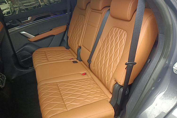 Used BYD Tang New Energy 2023 DM-i Champion Edition 112KM Prestige Model Left Rear Seat