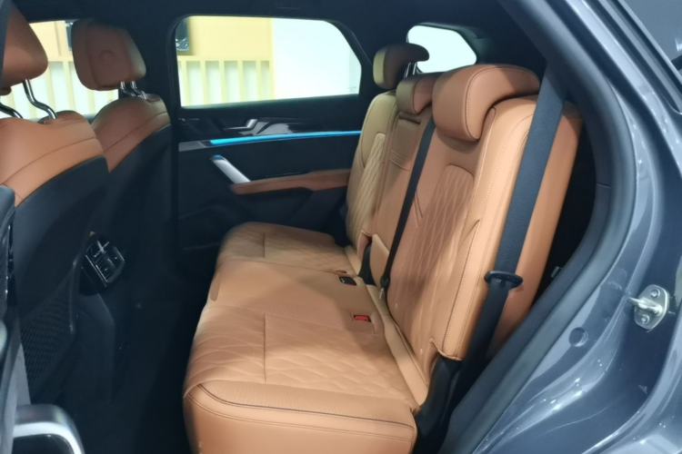 Used BYD Tang New Energy 2023 DM-i Champion Edition 112KM Prestige Model Left Rear Seat