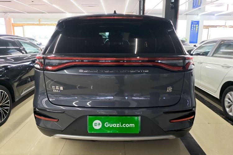 Used BYD Tang New Energy 2023 DM-i Champion Edition 112KM Prestige Model Rear