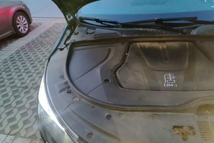 Used BYD Tang New Energy 2023 DM-i Champion Edition 112KM Prestige Model Engine Bay Right