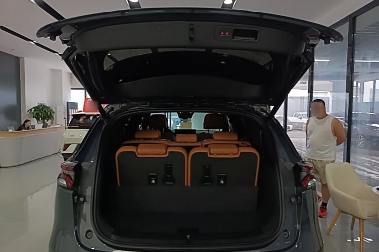 Used BYD Tang New Energy 2023 DM-i Champion Edition 112KM Prestige Model Left Rear Seat
