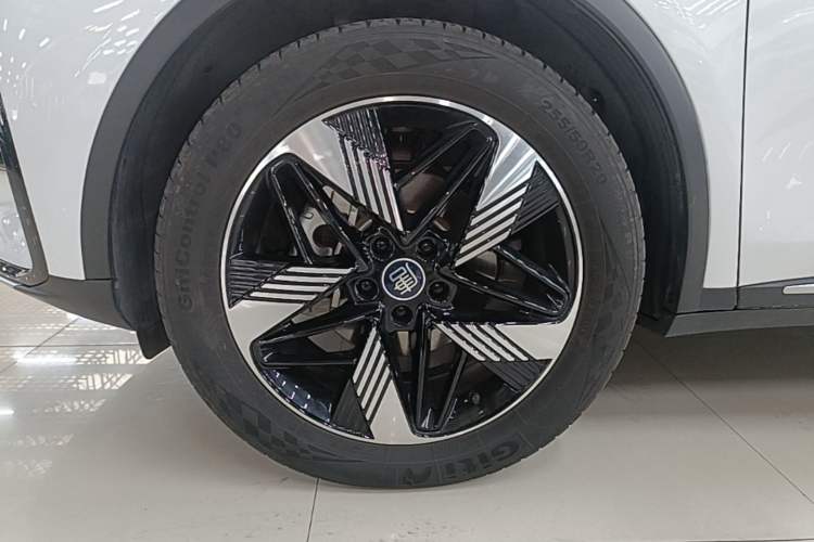 Used BYD Tang New Energy 2023 DM-i Champion Edition 112KM Prestige Model Exterior 4