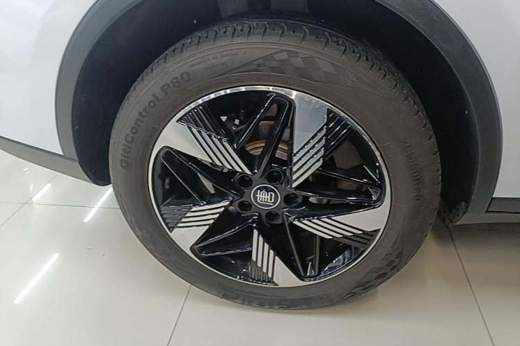 Used BYD Tang New Energy 2023 DM-i Champion Edition 112KM Prestige Model Exterior 5