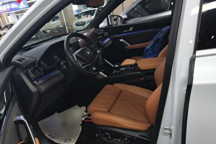 Used BYD Tang New Energy 2023 DM-i Champion Edition 112KM Prestige Model Left Front Seat