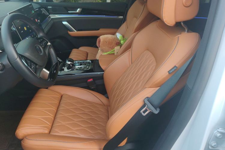 Used BYD Tang New Energy 2023 DM-i Champion Edition 112KM Prestige Model Left Front Seat