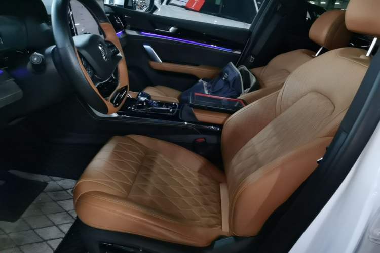 Used BYD Tang New Energy 2023 DM-i Champion Edition 112KM Prestige Model Left Front Seat