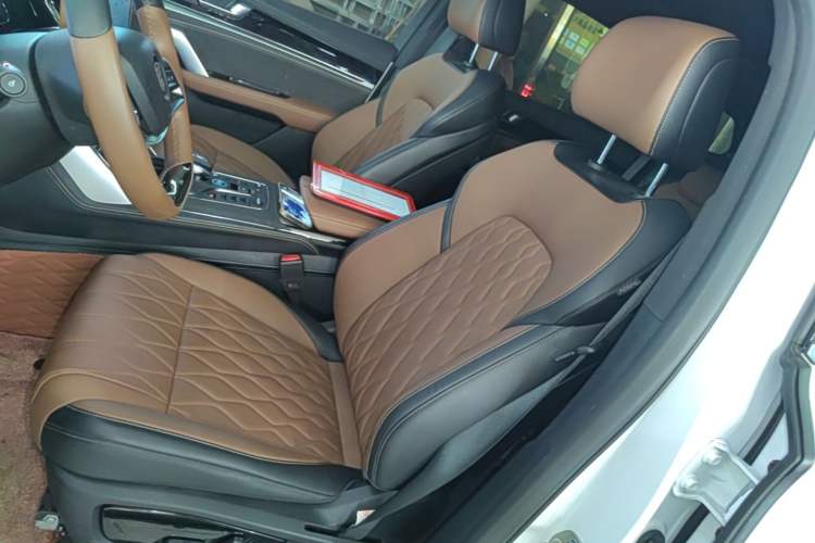 Used BYD Tang New Energy 2023 DM-i Champion Edition 112KM Prestige Model Left Front Seat