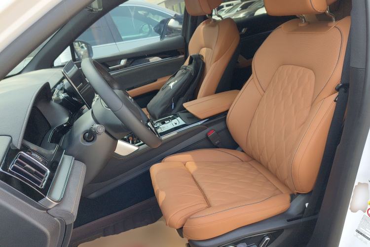 Used BYD Tang New Energy 2023 DM-i Champion Edition 112KM Prestige Model Left Front Seat