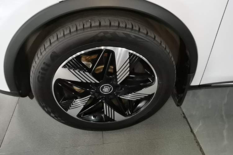 Used BYD Tang New Energy 2023 DM-i Champion Edition 112KM Prestige Model Left Front Wheel Hub