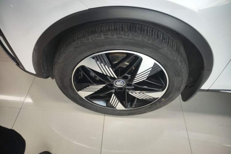 Used BYD Tang New Energy 2023 DM-i Champion Edition 112KM Prestige Model Left Front Wheel Hub