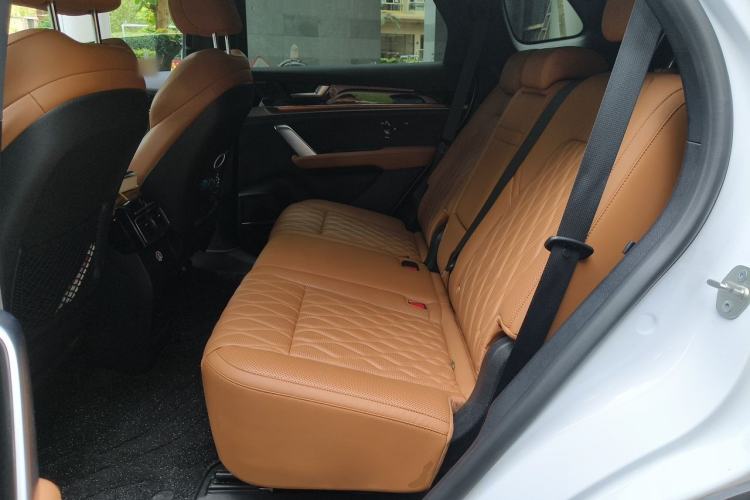 Used BYD Tang New Energy 2023 DM-i Champion Edition 112KM Prestige Model Left Rear Seat