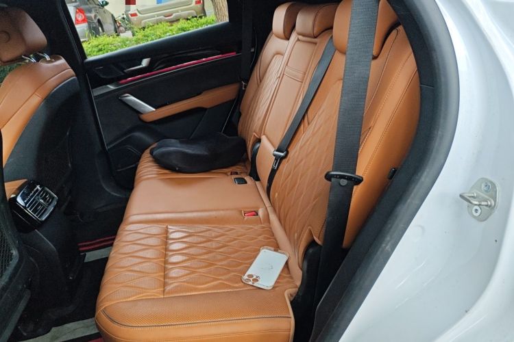 Used BYD Tang New Energy 2023 DM-i Champion Edition 112KM Prestige Model Left Rear Seat