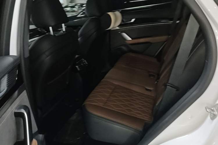 Used BYD Tang New Energy 2023 DM-i Champion Edition 112KM Prestige Model Left Rear Seat