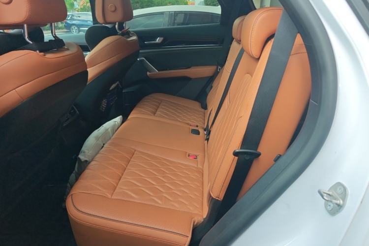 Used BYD Tang New Energy 2023 DM-i Champion Edition 112KM Prestige Model Left Rear Seat