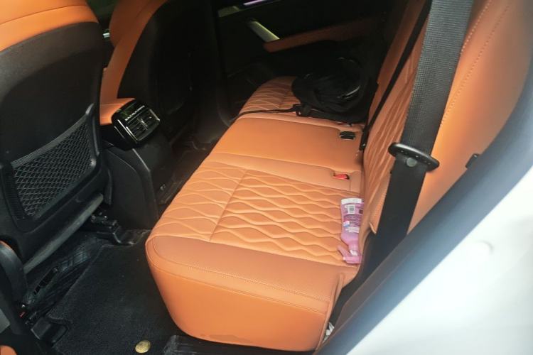 Used BYD Tang New Energy 2023 DM-i Champion Edition 112KM Prestige Model Left Rear Seat