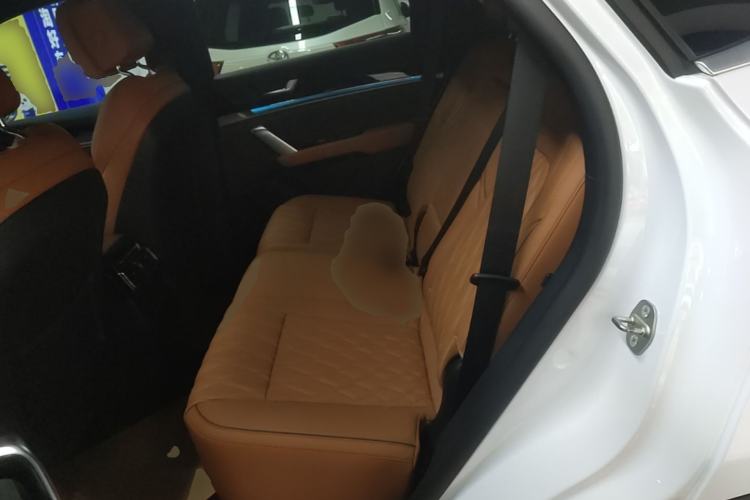 Used BYD Tang New Energy 2023 DM-i Champion Edition 112KM Prestige Model Left Rear Seat