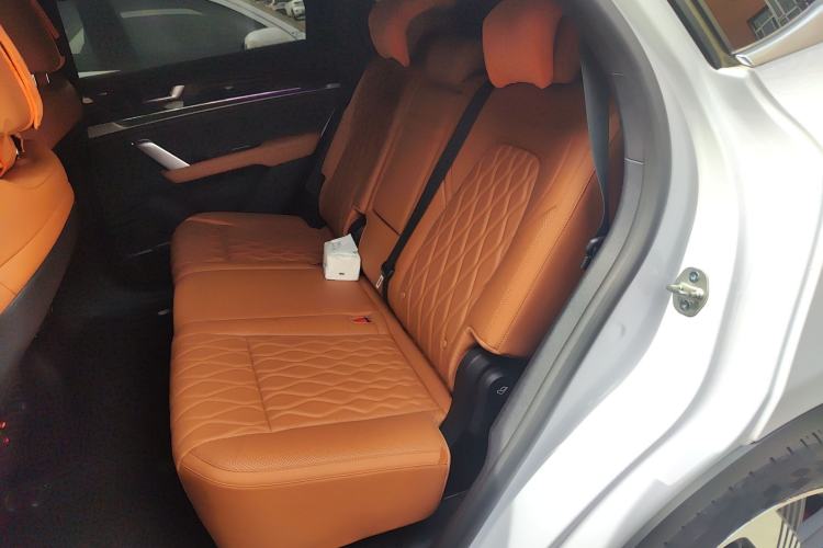 Used BYD Tang New Energy 2023 DM-i Champion Edition 112KM Prestige Model Left Rear Seat