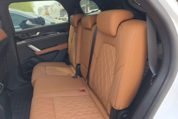 Used BYD Tang New Energy 2023 DM-i Champion Edition 112KM Prestige Model Left Rear Seat