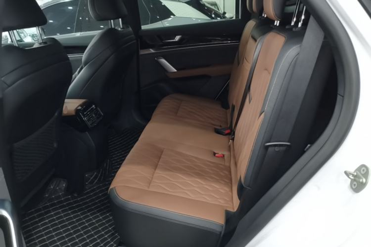 Used BYD Tang New Energy 2023 DM-i Champion Edition 112KM Prestige Model Left Rear Seat