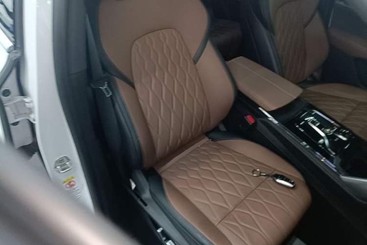 Used BYD Tang New Energy 2023 DM-i Champion Edition 112KM Prestige Model Right Front Seat