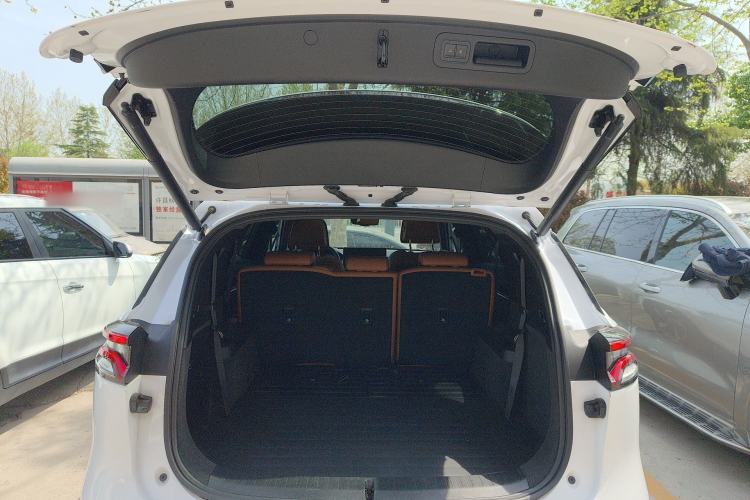 Used BYD Tang New Energy 2023 DM-i Champion Edition 112KM Prestige Model Trunk