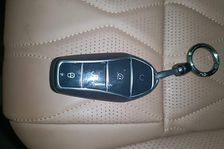 Used BYD Tang New Energy 2023 DM-i Champion Edition 112KM Prestige Model Vehicle Key