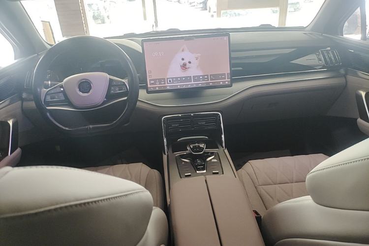 Used BYD Tang New Energy 2024 DM-i Glory Edition 112KM Prestige Model Center Console