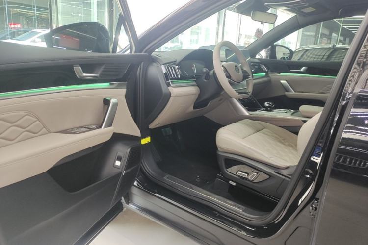 Used BYD Tang New Energy 2024 DM-i Glory Edition 112KM Prestige Model Driver Seat