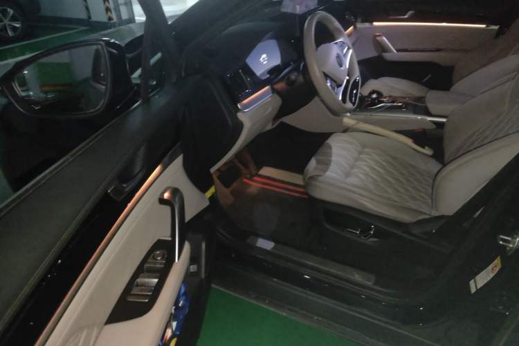 Used BYD Tang New Energy 2024 DM-i Glory Edition 112KM Prestige Model Driver Seat