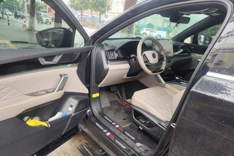 Used BYD Tang New Energy 2024 DM-p Glory Edition 215KM All-Wheel-Drive Premium Model Driver Seat
