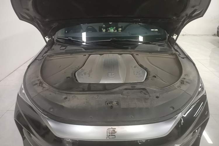 Used BYD Tang New Energy 2024 EV Glory Edition 600KM Premium Model Engine Bay