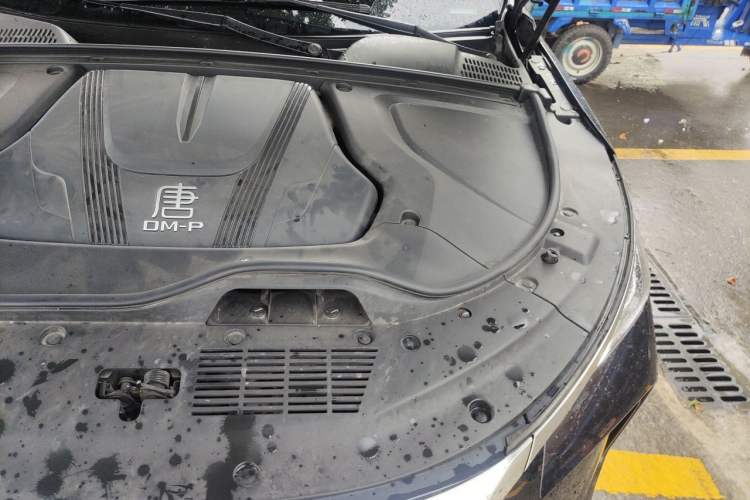 Used BYD Tang New Energy 2024 DM-p Glory Edition 215KM All-Wheel-Drive Premium Model Engine Bay Left