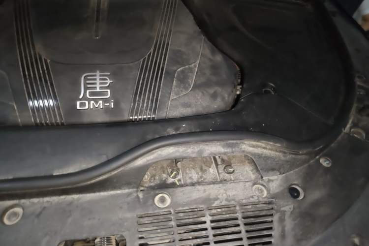 Used BYD Tang New Energy 2024 DM-i Glory Edition 112KM Prestige Model Engine Bay Left