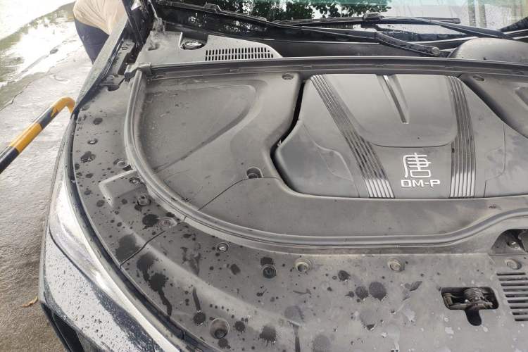 Used BYD Tang New Energy 2024 DM-p Glory Edition 215KM All-Wheel-Drive Premium Model Engine Bay Right