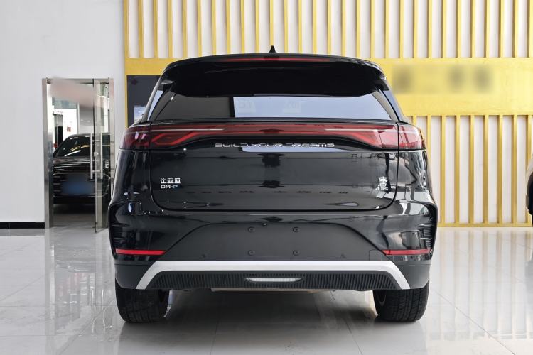 Used BYD Tang New Energy 2024 DM-p Champion Edition 215 km All-Wheel-Drive Flagship Model Exterior 3