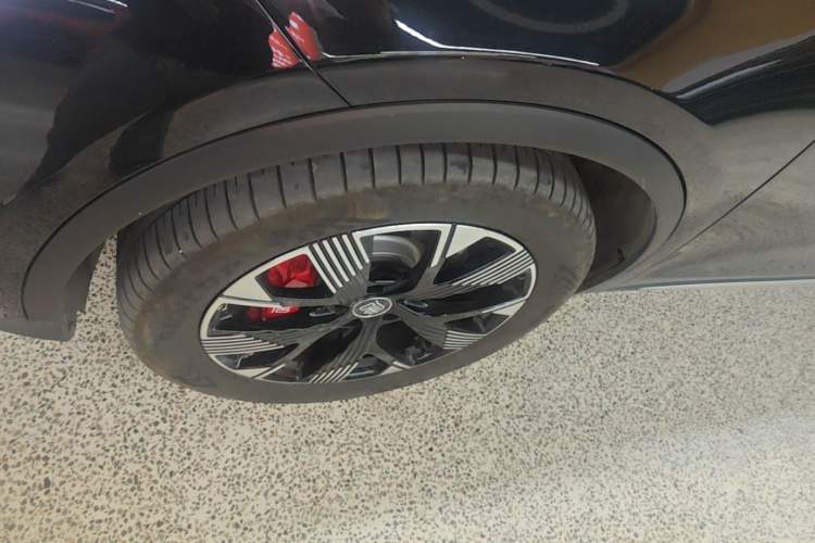 Used BYD Tang New Energy 2024 DM-p Champion Edition 215 km All-Wheel-Drive Flagship Model Exterior 4