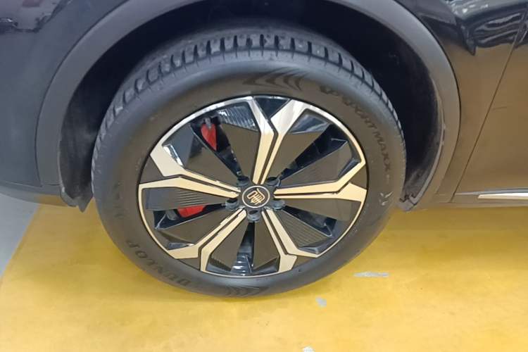 Used BYD Tang New Energy 2024 EV Glory Edition 600KM Premium Model Exterior 4