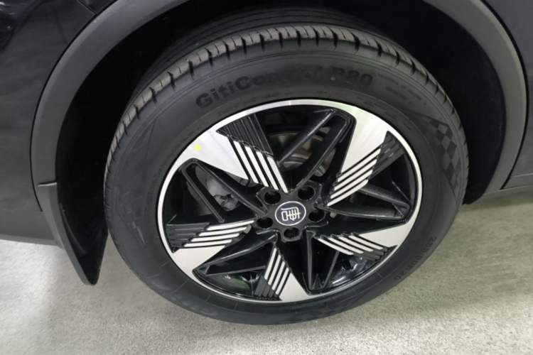 Used BYD Tang New Energy 2024 DM-i Glory Edition 112KM Prestige Model Exterior 5