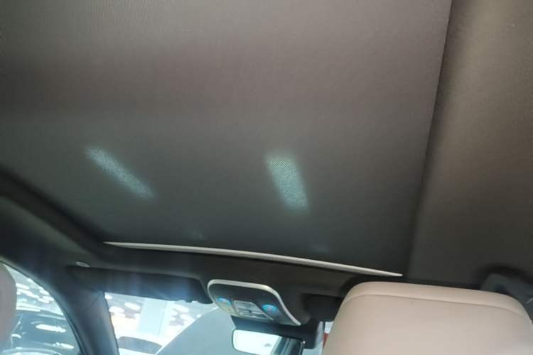 Used BYD Tang New Energy 2024 DM-i Glory Edition 112KM Prestige Model Headliner