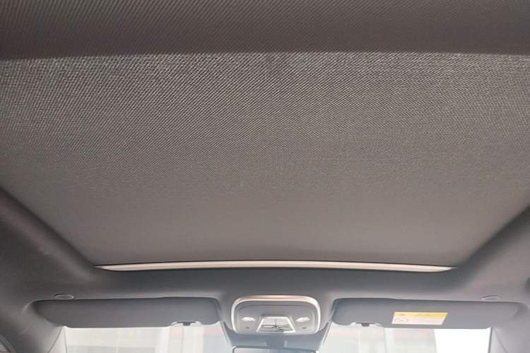 Used BYD Tang New Energy 2024 DM-i Glory Edition 112KM Prestige Model Headliner